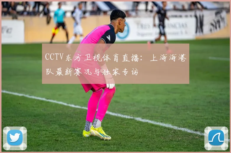 CCTV东方卫视体育直播：上海海港队最新赛况与独家专访