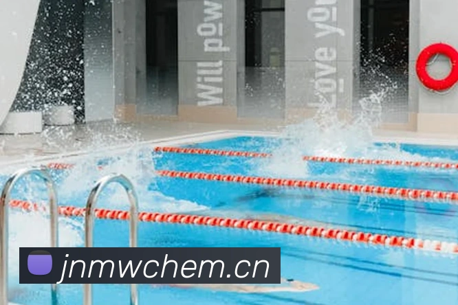 App Interface Preview